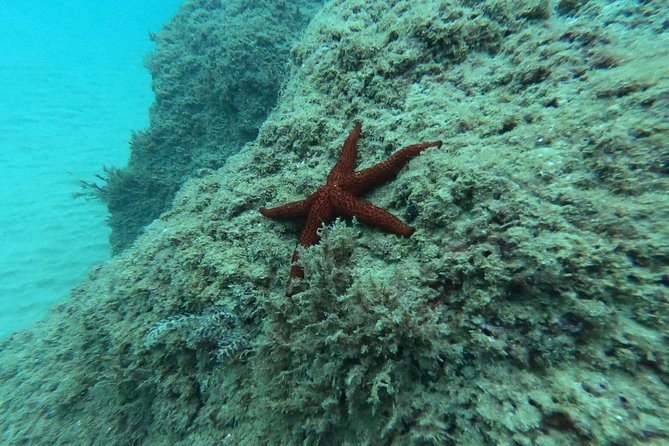 Scuba Diving For Beginners - Hotel pickup makes the morning easier