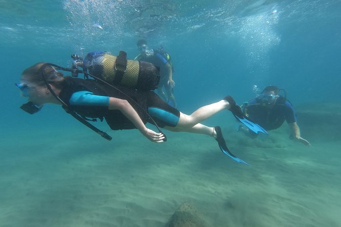 Scuba Diving For Beginners - Is $102.41 a fair price?