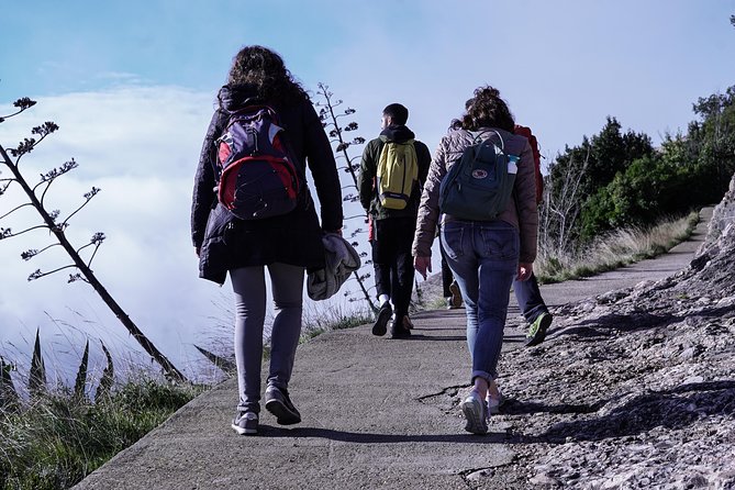 Semi-Private Montserrat Monastery & Hiking Experience - Who should book this Montserrat tour