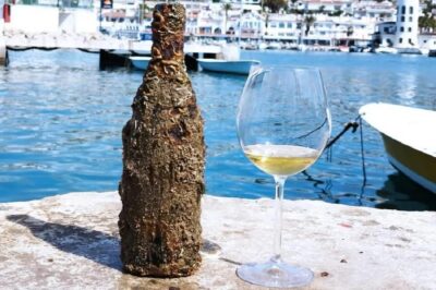 Sailboat trip + walking tour and wine cellar tour