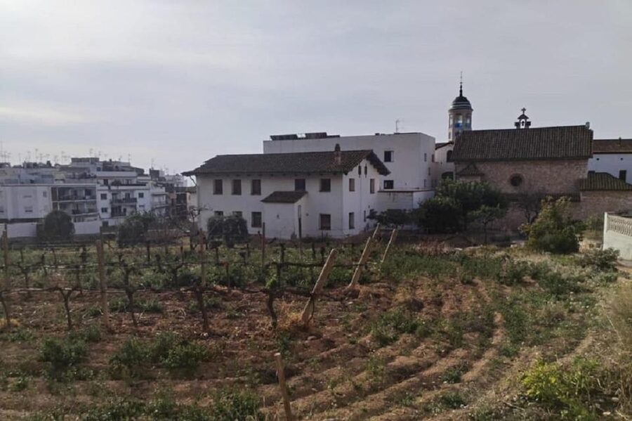 Sitges: Sailboat trip + walking tour and wine cellar tour - Guides, languages, and the feel of the outing