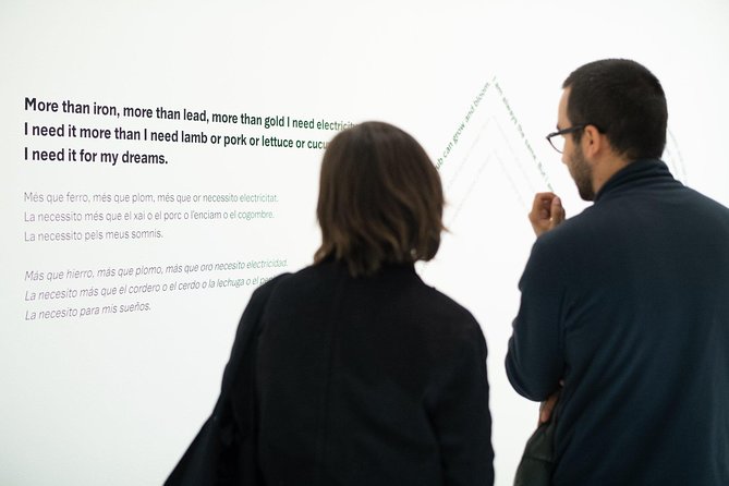 Skip the Line: Barcelona MACBA Museum of Contemporary Art Admission Ticket - What the MACBA ticket actually gives you