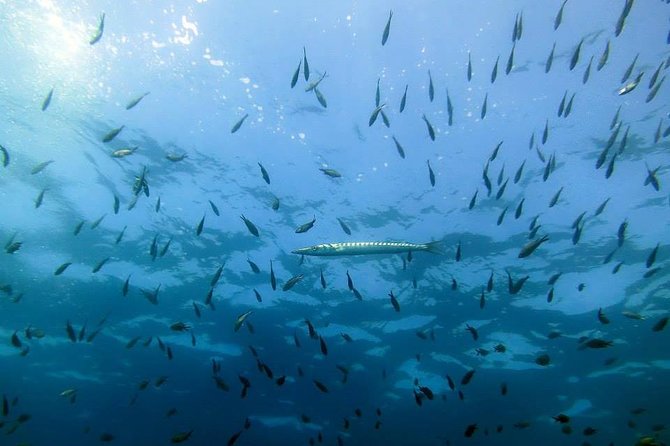 Small Group Diving Baptism in Tossa de Mar - Returning to the center after the sea