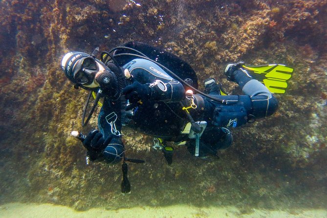 Small Group Diving Baptism in Tossa de Mar - Is $84.83 a fair price?