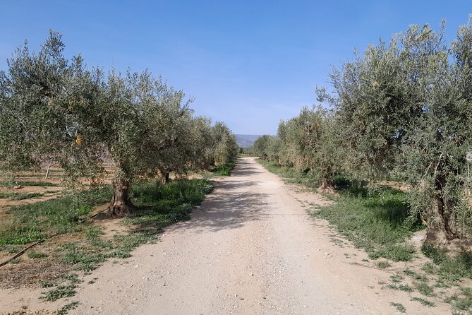 Tarragona Culinary Experience: Olive Oil & Iberian Ham Delight - Inside Molí d’Oli Mas Montseny