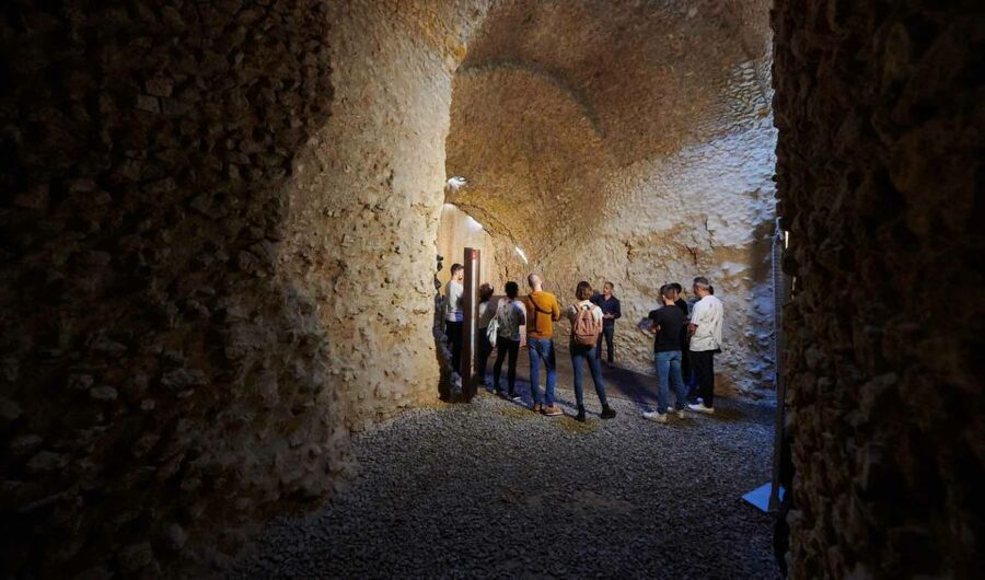Tarragona: Roman Heritage Guided Walking Tour - Weather, footwear, and access