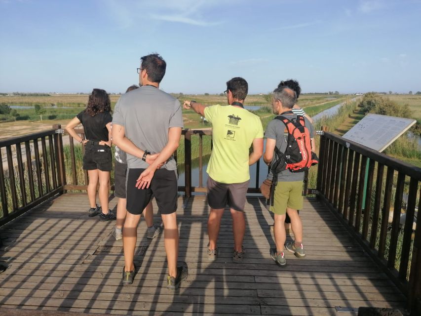 Tarragona: Southern Delta Birdwatching Private Tour - Encanyissada Lagoon and El Pont del Través