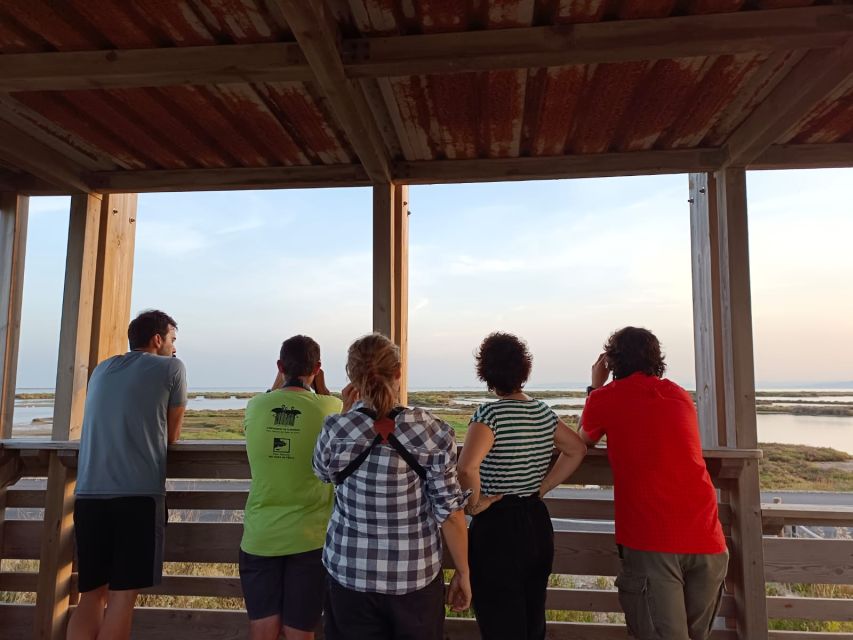 Tarragona: Southern Delta Birdwatching Private Tour - Poble Nou del Delta’s White Houses and Palm Trees