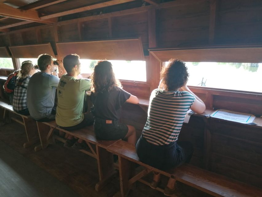 Tarragona: Southern Delta Birdwatching Private Tour - Timing, Comfort, and Practical Details