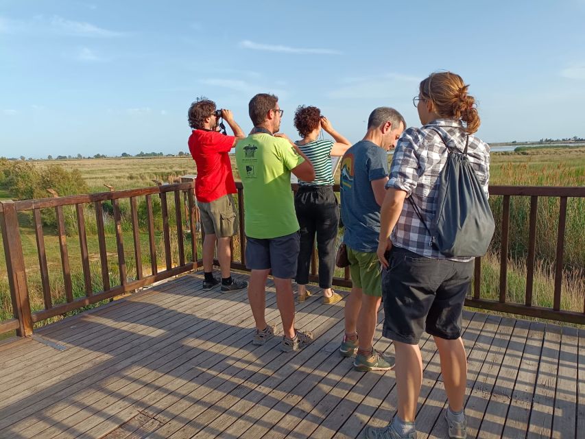 Tarragona: Southern Delta Birdwatching Private Tour - Who Will Get the Most From It