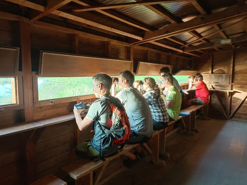 Tarragona: Southern Delta Birdwatching Private Tour - La Tancada Lagoon and the Flamingo Stop