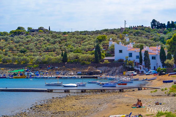The Dalí Triangle & Cadaqués Day Trip from Girona - The price: convenient, but not an inexpensive day