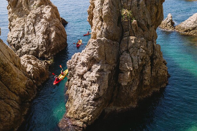 Tossa de Mar: Kayak & Snorkel Tour with Paella from Barcelona - What the guide adds to the day