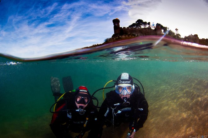 Tossa de Mar Scuba Diving PADI - Meeting fish, octopuses, and seahorses