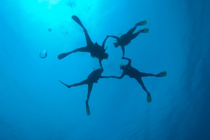 Tossa de Mar Scuba Diving PADI - Weather, cancellation, and planning the rest of your day