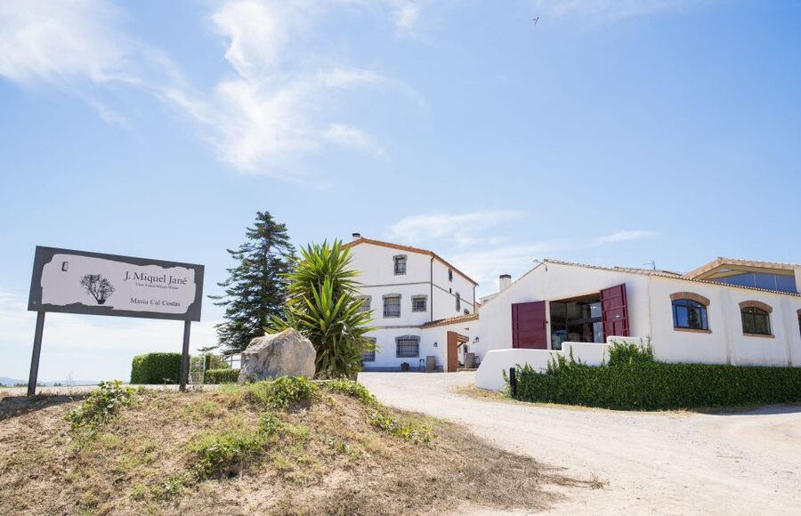 Vilafranca del Penedès: Winery Visit with Tastings - Why this Alt Penedès winery visit feels worthwhile