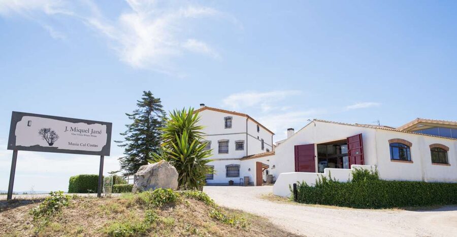 Vilafranca del Penedès: Winery Visit with Tastings - Inside the ageing cellars and warehouse
