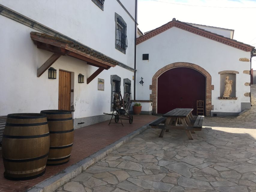 Vilafranca del Penedès: Winery Visit with Tastings - Four wines with cheese, ham, and local specialties
