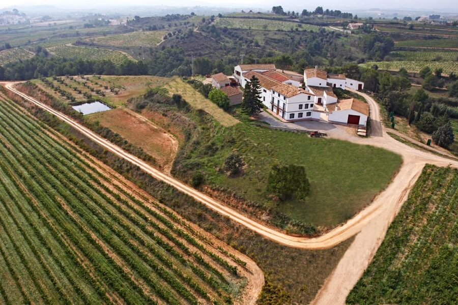 Vilafranca del Penedès: Winery Visit with Tastings - What the $41 price really includes