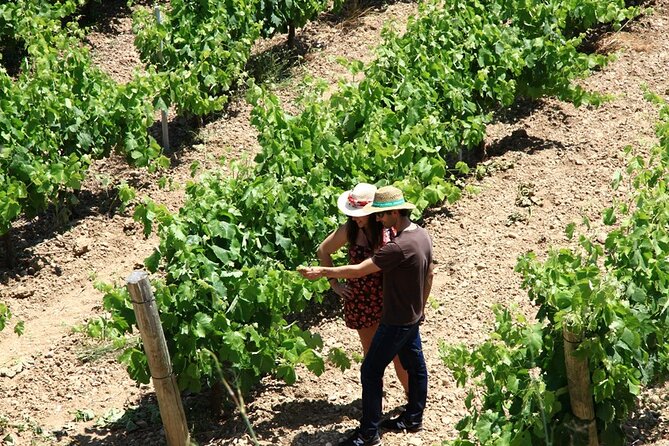 Viticulture and Wine-Tasting 3-Hour Trip from Barcelona - Four wines with cheese, ham, and tasting advice