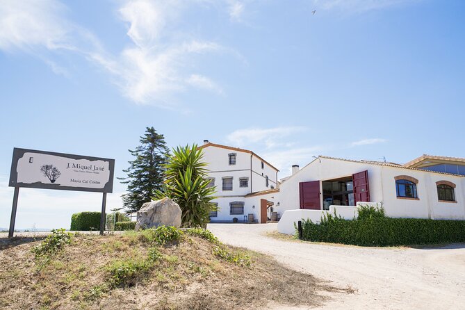 Viticulture and Wine-Tasting 3-Hour Trip from Barcelona - Inside the winery and cellar