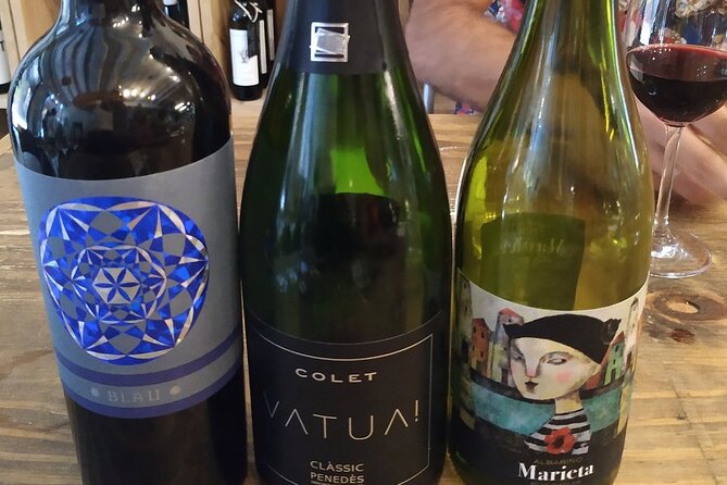 Wine Tasting Experience in Barcelona - Catalan wine beyond the usual Barcelona glass
