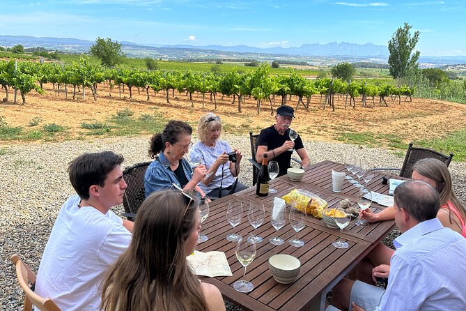 Wine Tasting in Three Boutique Wineries Tour - Max 8 people - Key points at a glance