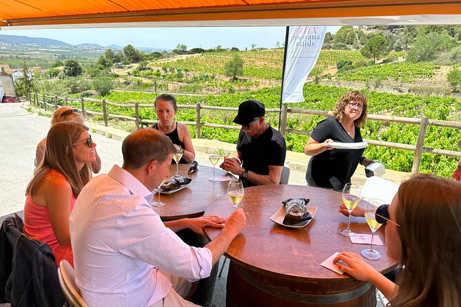 Wine Tasting in Three Boutique Wineries Tour - Max 8 people - Felix Massana Rafols: a cellar made by hand