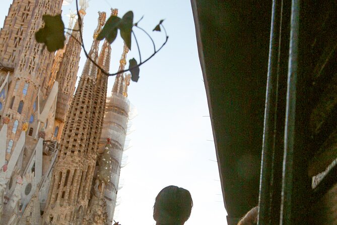 Wine tasting with a view of the Sagrada Familia - What you receive for $58.94