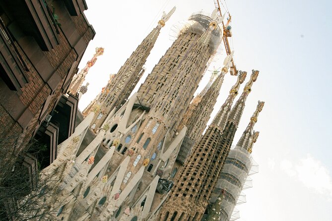 Wine tasting with a view of the Sagrada Familia - My call: book it with one careful check