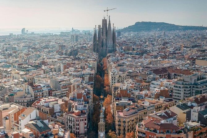 Wonders of Gaudi: Park Guell & Sagrada Familia Private Tour - The value of a private guide at $312.38 per person