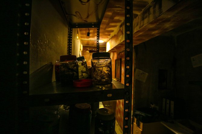 Xcape Room Bcn: The diary of Miko - How the staff affects the hour